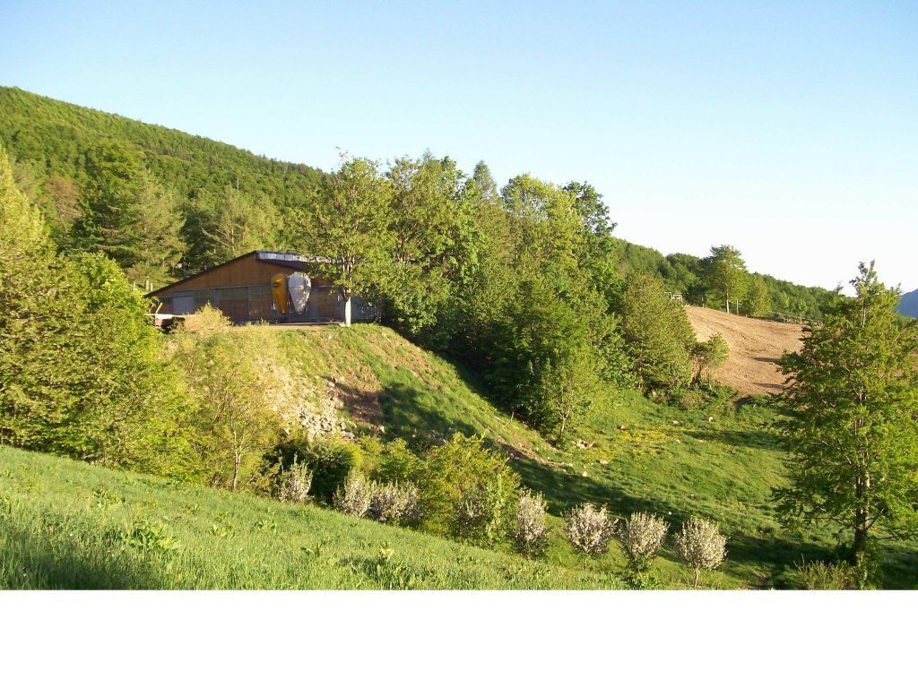 Dettagli Agriturismo Le Roncacce