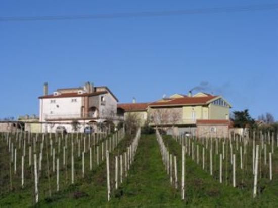 Dettagli Agriturismo Il Tratturo Regio