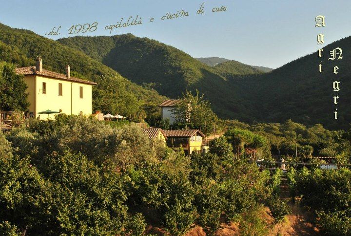 Dettagli Agriturismo Barone Antonio Negri