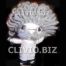Clivio B.